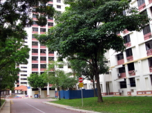 Blk 918 Hougang Avenue 9 (Hougang), HDB 5 Rooms #241672